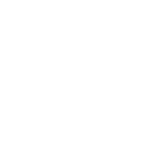 bidefon